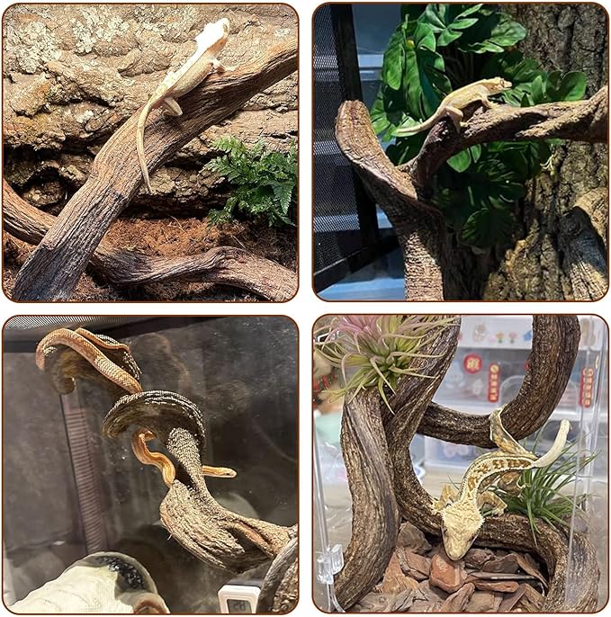 BNOSDM 4PCS Natural Reptile Climbing Branches Decor,0.8-1.2" Thick Snake Climbing Forest Wood with Plant Leaf Decor,Lizard Forest Branch,Geckos Tank Tree Trunk Accessories for Bearded Dragons