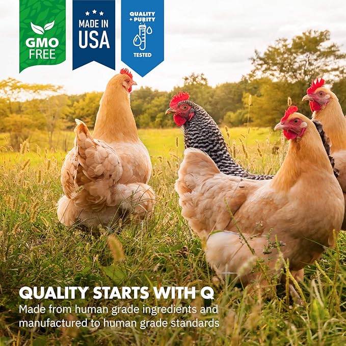 HealthyGut Probiotics for Chickens & Poultry, All-Natural Digestive System Dietary Supplement (30 Scoops)