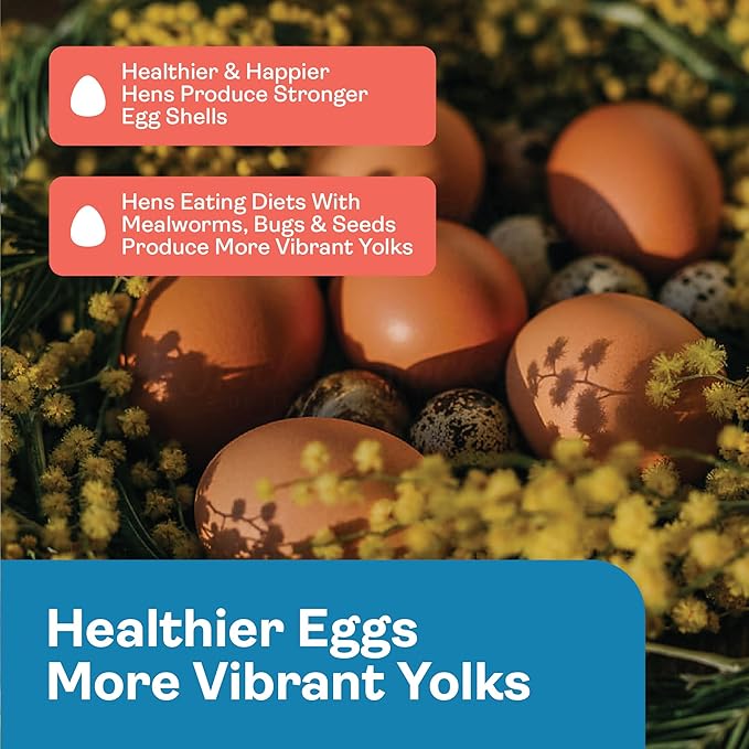 Omega Booster – Omega-3 Eggs & Chicken Supplement for Laying Hens – Egg Laying Booster & Feather Health Support – Natural Poultry Treat, Layer Food Additive & Flock Snack – 1.25 lb Bag