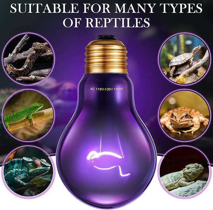 Retisee 4 Pack 75W Reptile Night Heat Lamp Simulate Moonlight Heat Bulb Purple Lamp Reptile Night Heat Bulb for Bearded Dragon Lizard Snake Chameleon Turtle Amphibians