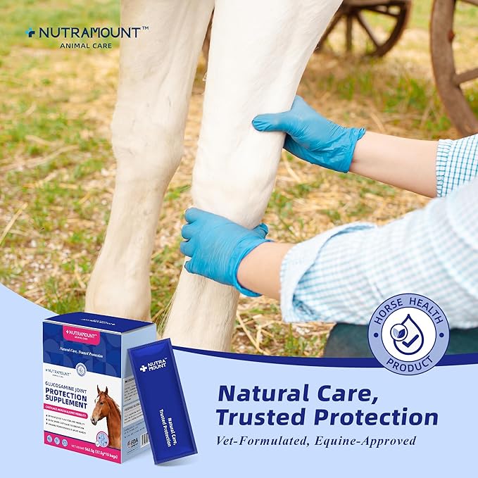 Glucosamine Joint Protection Supplement for Horses Support Cartilage Health & Joint Mobility 15-Day Supply