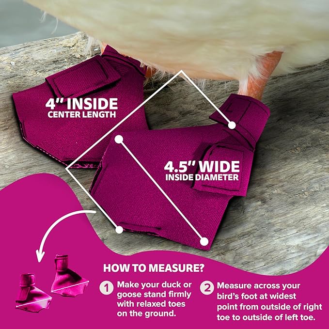 Duck Shoes for Injured Feet – Protective Neoprene Footwear for Ducks, Protective Shoes for Birds with Injured feet, Bumblefoot Relief - Large, 4.5” Max. Inside Width - Pink