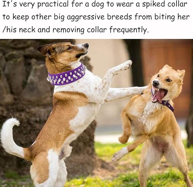 TEEMERRYCA Adjustable PU Leather Spiked Studded Dog Collars with a Squeak Ball Gift for Small Medium Large Pets Like Cats/Pit Bull/Bulldog/Pugs/Husky, Purple, L 15"-18.5"