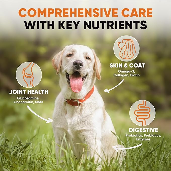 Dog multivitamin Soft Chews–Glucosamine, Chondroitin, MSM, Probiotics, Enzymes, Omega-3–Joint Support, Gut Health, Skin & Coat–Daily Maintenance & Preventive Care–Dog Supplements & Vitamins–180 Chews
