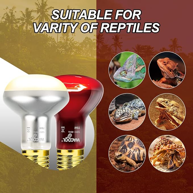 WACOOL 4Pack Reptile Heat Lamp Day & Night Kit 75W, Nature Simulated Basking Daylight & Nightlight UVA Heat Lamp Bulbs for Reptiles & Amphibians