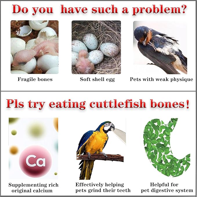 Bird Cuttlebone for Parakeets Cuttlebone for Birds - 100% Natural Cuttlefish Bone Bulk Chew Toy Bird Bites Calcium Stone for Canaries Tortoises,Snails,Reptiles,Parrots,Cockatiel