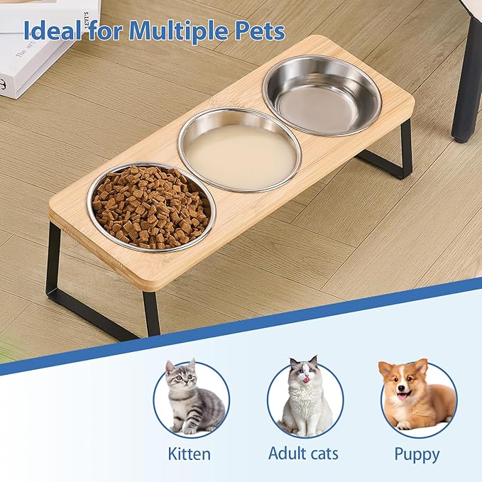 Elevated Cat Bowls, 15° Tilted Raised Cat Food and Water Bowl, Anti-Vomit & Whisker-Friendly Design, 3 Stainless Steel Bowls for Cats and Small Dogs