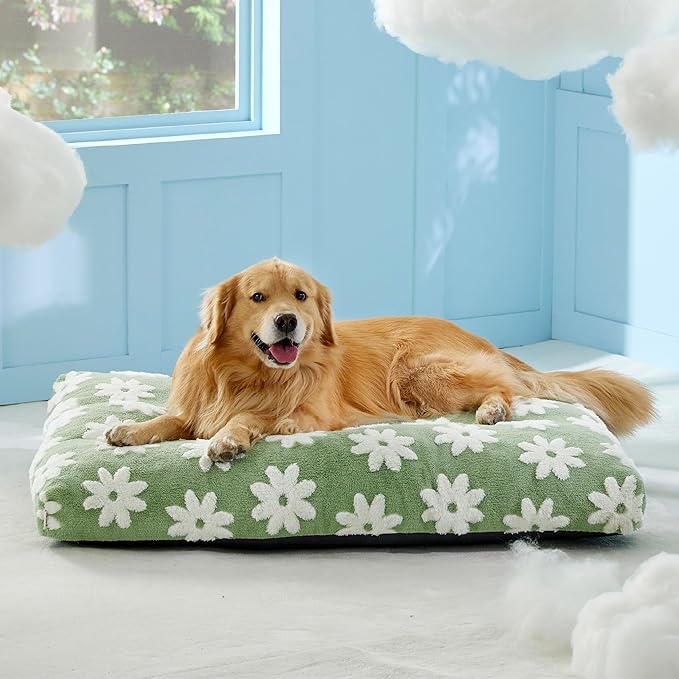 LE SURE Extra Large Dog Bed-Thick Shredded Chopped Foam Pet Bed Indoor with Removable Cover, Cute Modern Fuzzy Plush & Anti Slip Bottom, Green