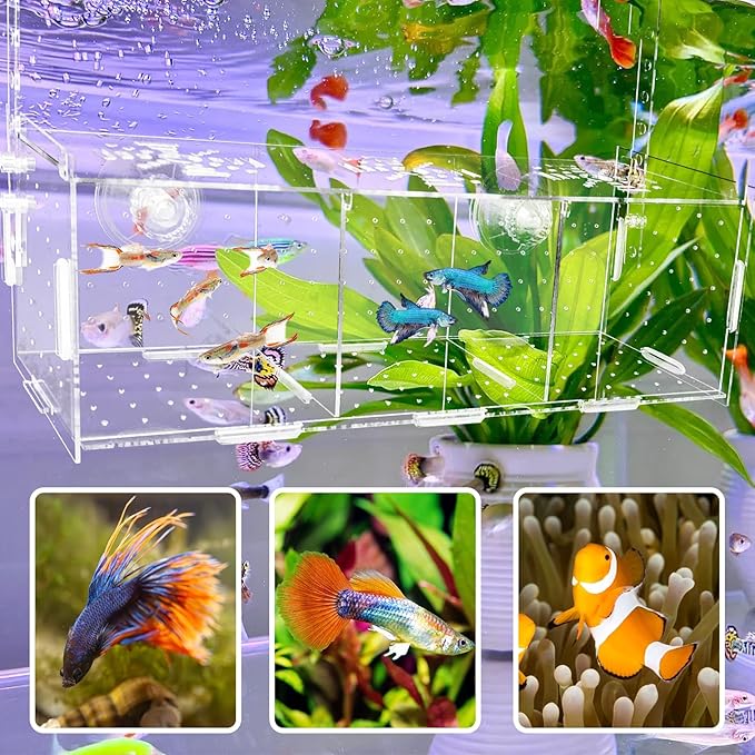 Hamiledyi Acrylic Breeding Isolation Box - Transparent Aquarium Hatchery for Guppy/Shrimp/Small Fish, Safe Nursery Tank with Air Tube & Suction Cups(11.8" × 3.9" × 3.9")