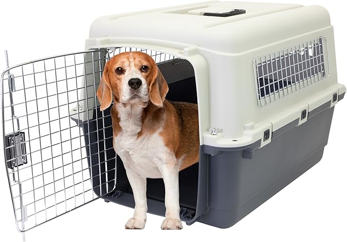 SportPet Designs Plastic Kennels Rolling Plastic Wire Door Travel Dog Crate - Medium, Gray (CM-2001-CS01)