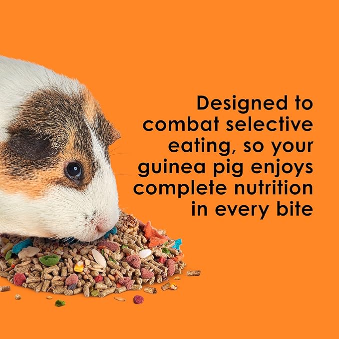 Kaytee Fiesta Guinea Pig Food, Nutritious and Fun Blend, Supports Dental Health and Digestion, 25 pounds