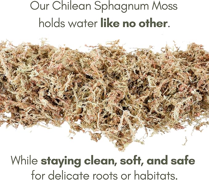 Mossify Premium Sphagnum Moss for Plants 50g, 1.8 Oz - Long Fiber Moss for Plants Indoor, Orchids, Terrariums, Gardening, Reptiles – Moisture Plant Moss for Propagation, Soil & Habitat Bedding