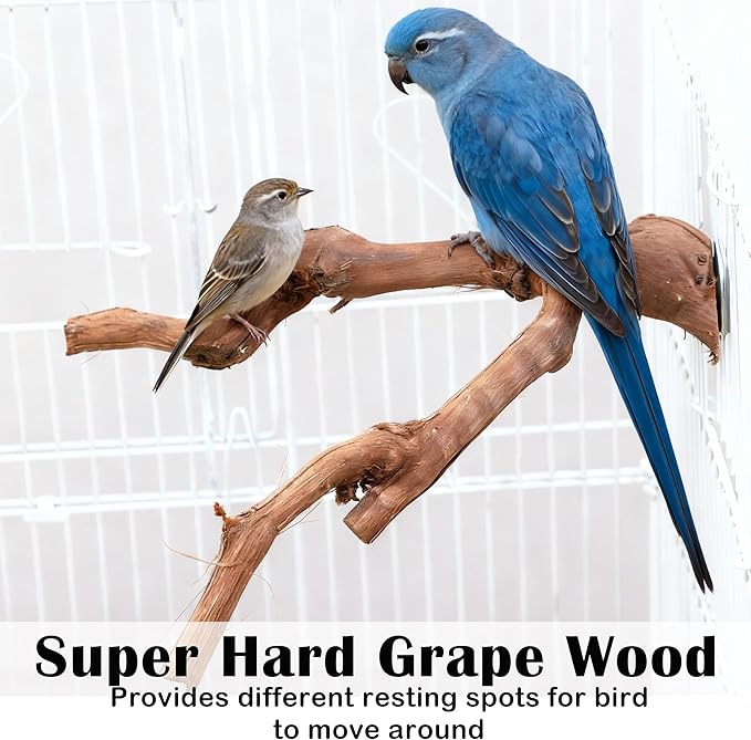 Brid Perch Stand 7PCS Natural Perches for Parakeets Include Ladder for Birds cage,Bird Cage Accessories for Parakeets, Cockatiels, Conures, Lovebirds (Nature Wood, Free Size 7pcs)