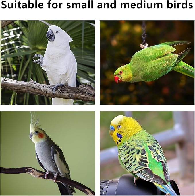 2Pcs Suction Cup Bird Perch,Natural Wood Parrot Window/Mirror/Car/Travel/Shower Perches Stand Portable Parakeet Grinding Stick Training Toys for Small and Medium Birds(Twist Grain)