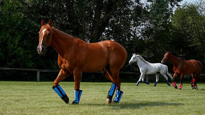 Warrior Fly Boots for Horses - Breathable Mesh Horse Boots for Fly Protection & Leg Comfort - Set of 4 (Lil Warrior, Red)
