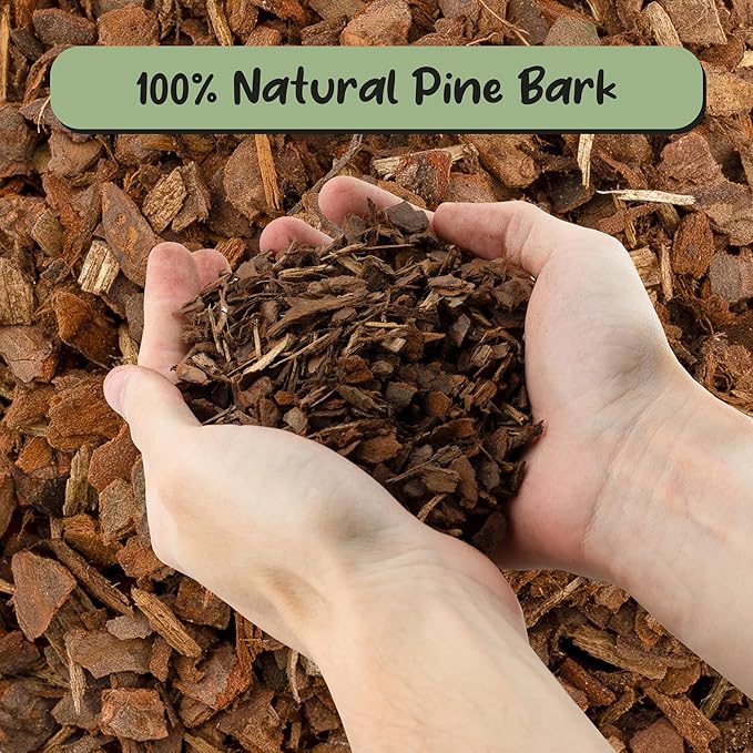 Soil Sunrise 100% Organic Orchid Potting Bark (30 Quarts) All-Natural USA-Sourced Pine Bark Orchid Mix Additive