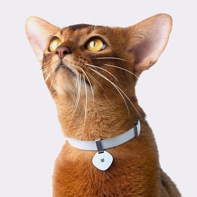 Safety Cat Collar Pro, Lightweight Elastic Release Non Breakaway Cat Collar Adjustable with Snap Fastener for Kitten All Small Large Cats, US IDA Gold Award (Monet Purple, S 5.9-11.8")