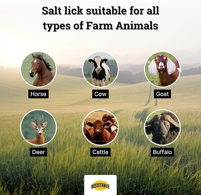 RESISTANCE Himalayan Salt Lick 2lb Block on Rope for Horses, Cattle, Deer, Goats, and Livestock – Pack of 6 Blocks