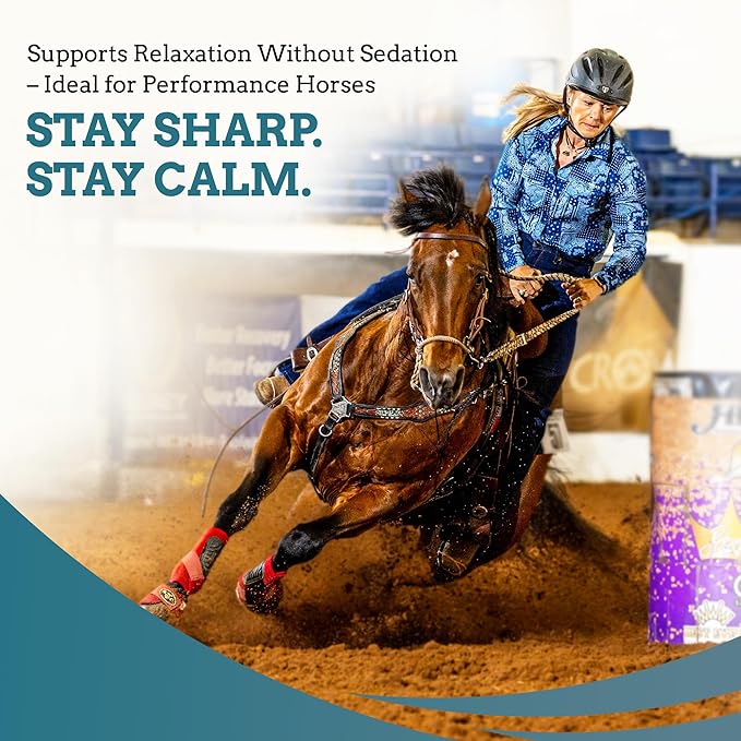 SynNutra Equine SynChill Pure – Non-Sedative Disposition Support for Horses – Plant-Based, L-Theanine-Free Formula for Calm, Confident Performance – 100% Natural & Competition Safe
