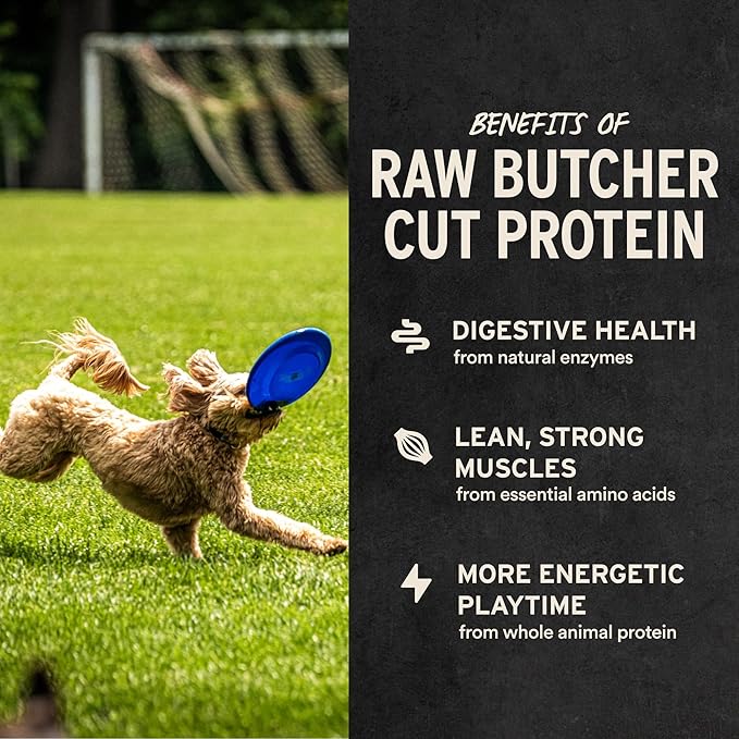 Vital Essentials Single Ingredient Minnows Dog Treats, 1 oz | Freeze-Dried Raw | Premium Quality High Protein Training Treats | Grain Free, Gluten Free, Filler Free