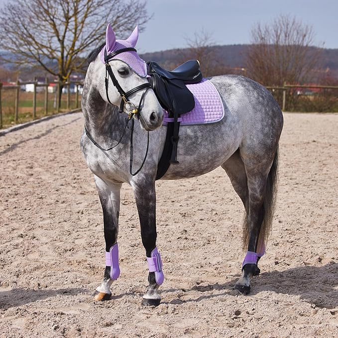 HORZE Adepto Open Front Tendon Boots | Durable Shell with Neoprene Lining - Languid Lavender Purple - Cob