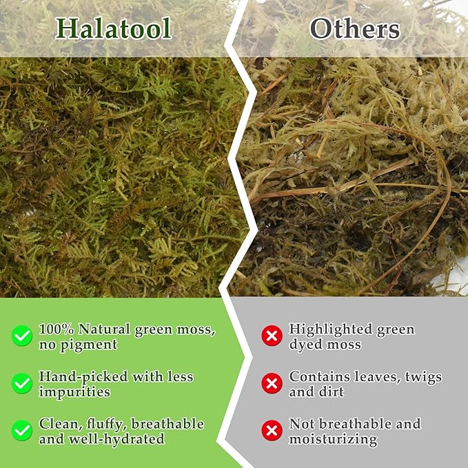 Halatool 12OZ Natural Sphagnum Moss for Reptiles- 18QT Green Moss for Terrarium Plants Long Fiber Reptile Moss for Leopard Gecko Snake Hamsters Tortoises Frogs Lizards Salamanders