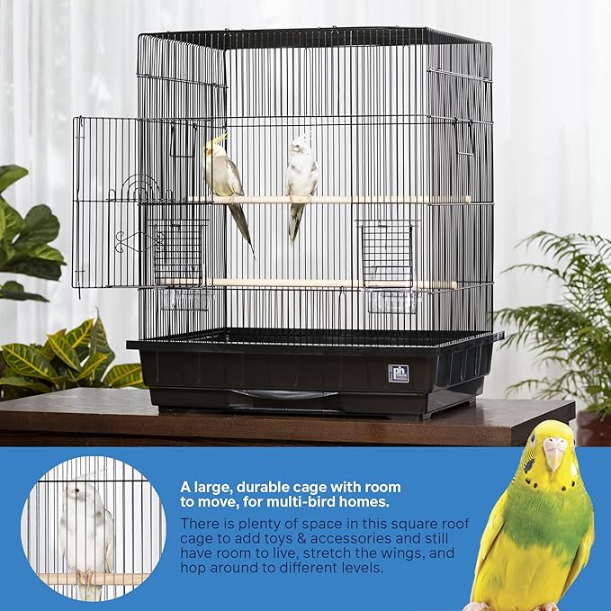 Prevue Pet Products Square Top Parakeet Cage, Black 25.0" L x 21.0" W x 29.5" H