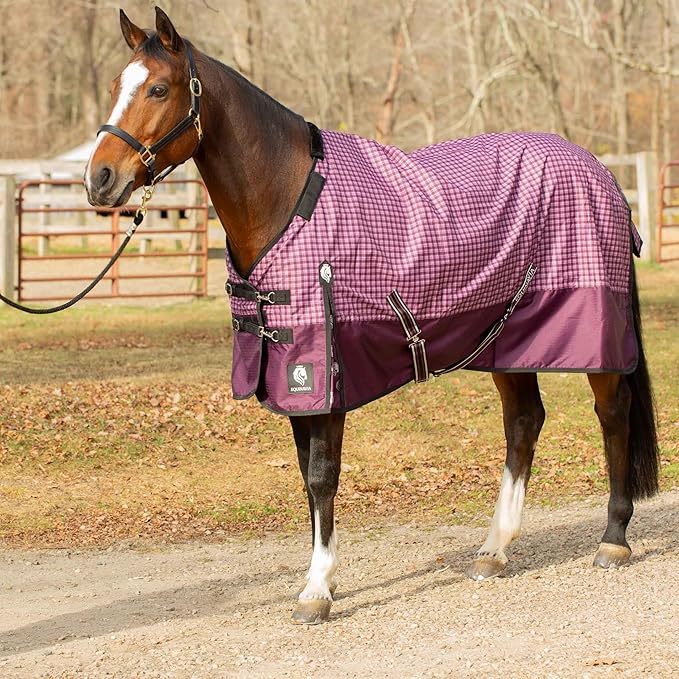 Equinavia Norse Lightweight 100g Fill Horse Rain Blanket | Waterproof Turnout Sheet - Black - 66 in - Plum Wine/Orchid Haze - 69 in