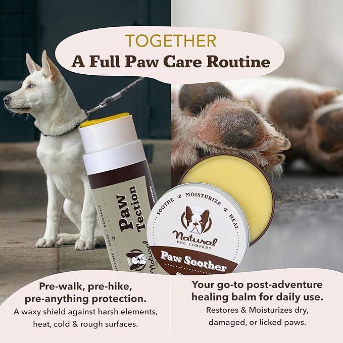 Natural Dog Company PawTection Dog Paw Balm, 4 Pack, Protects Paws from Hot Surfaces, Sand, Salt, & Snow, Organic, All Natural Ingredients (0.15 oz Travel Stick) X 4