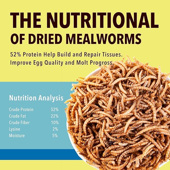 5lb Dried Mealworms for Chickens Treats for Laying hens,Bluebirds,Quail,Chicken Food