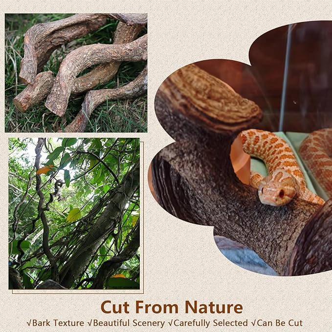 BNOSDM Reptile Climbing Branches Decor,Snake Climbing Branch,Gecko Climb Wood,Lizard Bold Forest Branch,Tank Habitat Tree Trunk Decorations for Bearded Dragons,Chameleons,Spider,Frogs,2.5-3.25" T