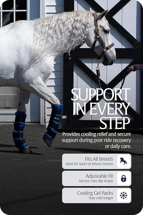 Equinavia Cool Relief Therapy Ice Boots Leg Wraps for Horses, Gel Pack with Adjustable Straps | 16.5" x 15.5" Single - Royal Blue - Single - One Size