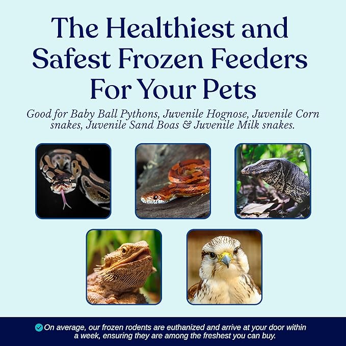 MiceDirect Frozen Pinkie Rat Food for Corn, Rat, King Snakes & Other repitles. (40 Count)