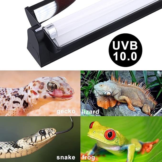 Aiicioo T5 UVB Lighting Combo Kit - Desert 10.0 Terrarium Hood Light Fixture & High Output T5 HO UVB Bulb for Reptiles Chameleon Gecko (22Inch 24W)