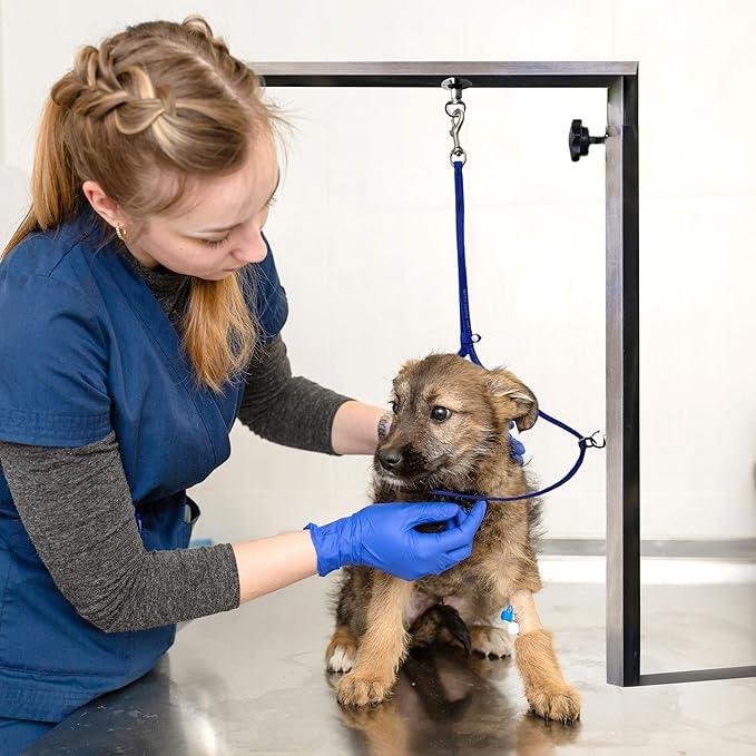 Jelly Pet Grooming Loops 3/8'' x 18'' W/Ring (Royal Blue) | Made in The USA