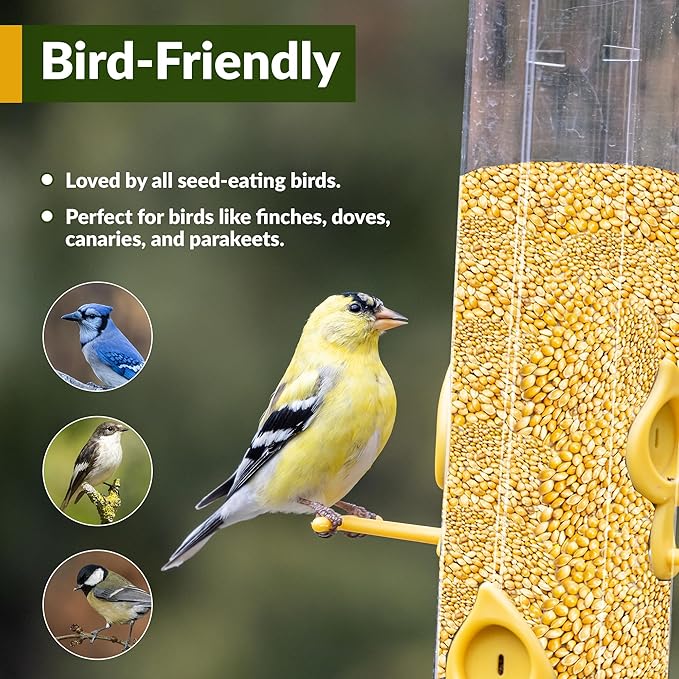 Old Potters Wildlife Organic White Millet for Bird Feeding and Wildlife Bird attracting, Non-GMO and USA Grown, 25 lbs
