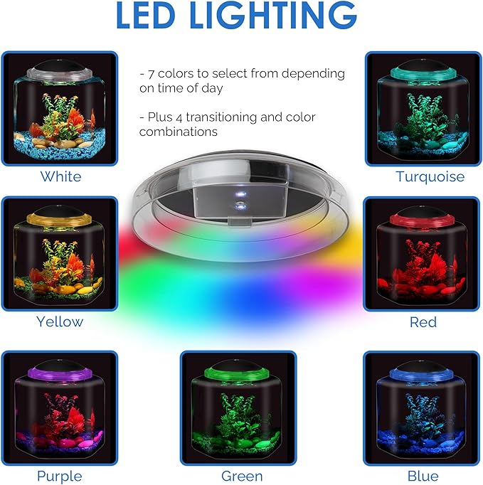 Koller Products 1 Gallon Hex BettaTank - LED Lighting