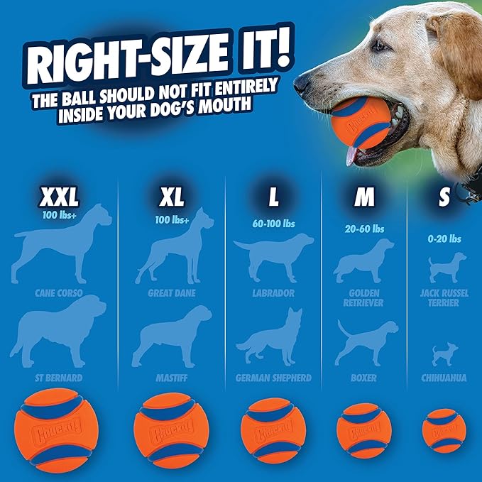 Chuckit! Ultra Ball Dog Toy - Size XL - for Dogs 100+ lbs - Made from Durable Rubber - Super Bouncy - Floats in Water - 3.5-inch Diameter -,1 Count (Pack of 2)