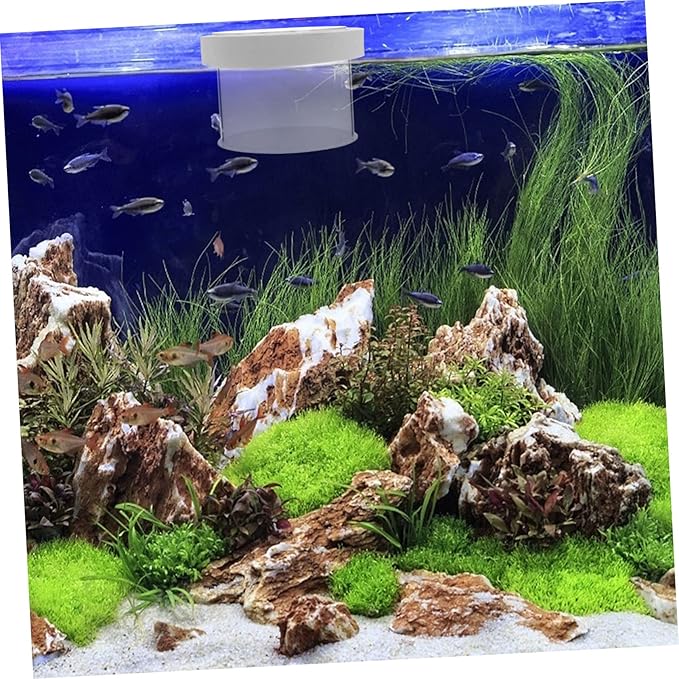 Fish Tank Breeder Box Removable Cover Floating Isolation Tank for Fry and Young Fish Lightweight Acrylic Aquarium Hatching Incubator for