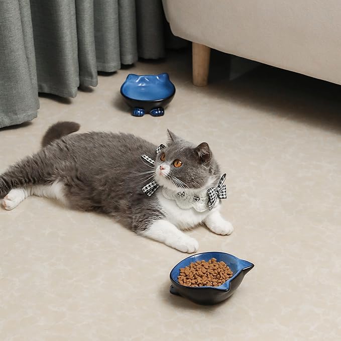 Nihow Ceramic Basic Cat Bowl: 5 Inch Cat Dish for Food & Water - Food Grade, Microwave & Dishwasher Safe - Elegant Blue & Black (4.25 OZ /1 PC)