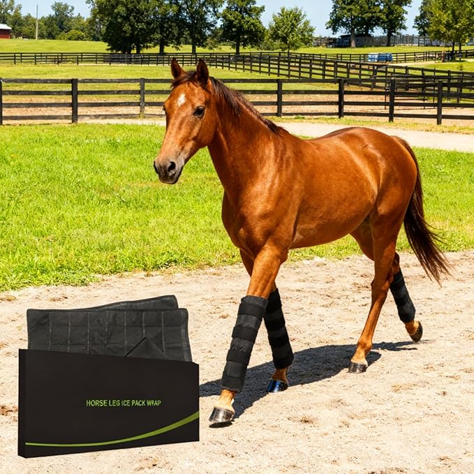 Horse Ice Boots 2-Pack with 64-Cell Ice Cells, Full-Leg Therapy Cooling Wraps for Injury Recovery & Competition Prep, Fits Hock, Knee, Ankle & Hooves