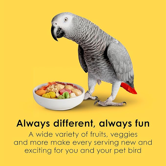 Kaytee Fiesta Parrot Food, Nutritious and Fun Blend, Supports Skin, Feather, Digestion, Brain and Heart Health, 2.5 pounds