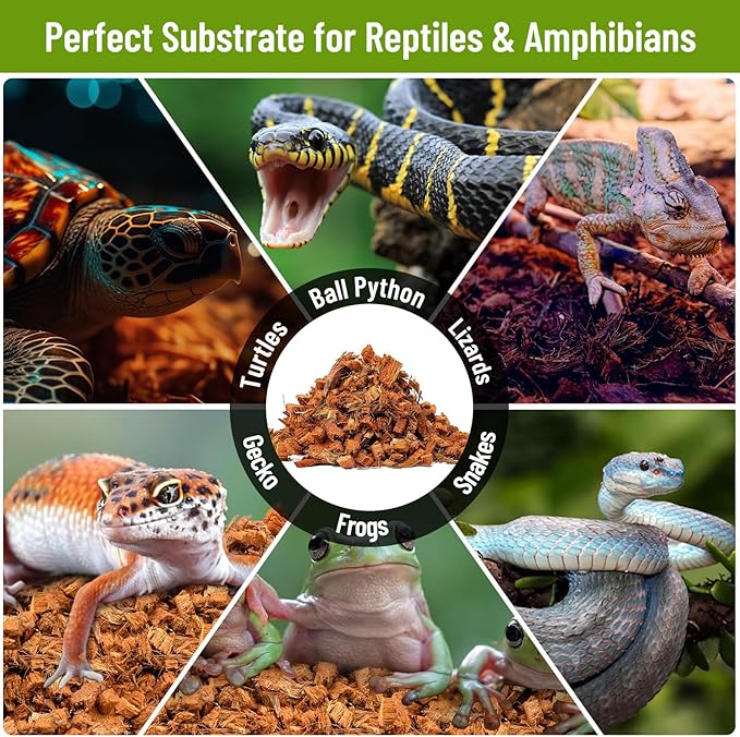 Riare 2 Pack Natural Coconut Chip Substrate for Reptiles- Compressed Coconut Husk Reptiles Bedding, Coco Husk Chip Terrarium Substrate for Snakes, Tortoises, Ball Python, Frogs, Bearded Dragon, Lizard