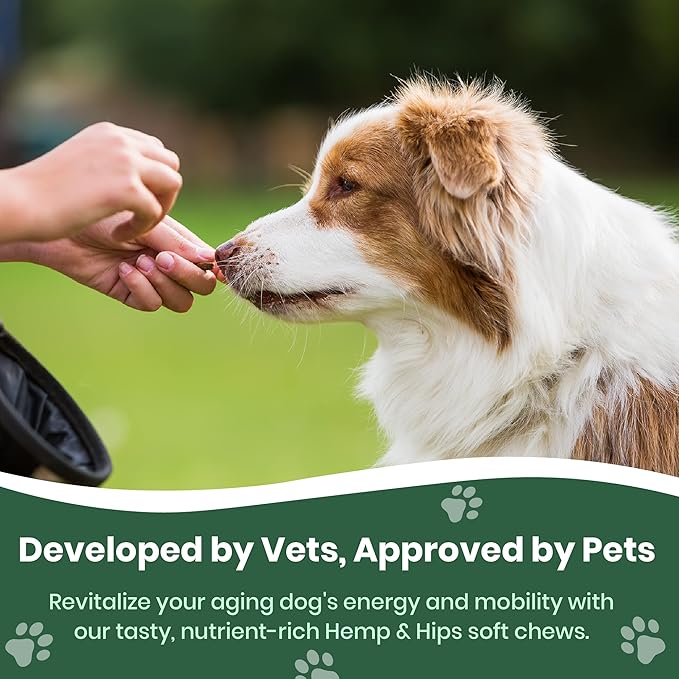Veterinary Naturals Hemp & HIPS Joint Supplement for Dogs/Supports Relief from Hip and Joint Pain in Large, Aging Dogs (Senior Large Breed, Chicken)