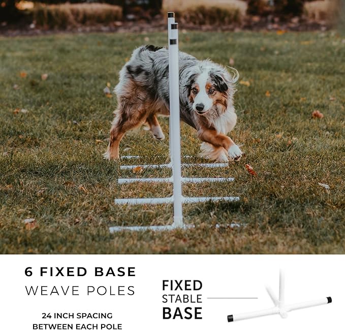 Better Sporting Dogs Agility Course Backyard Set - 7pc Indoor and Outdoor Agility Training Equipment for Dogs - 3 Jumps - 2 Tunnels with Sandbags - Weave Poles for Dog Obstacle Training
