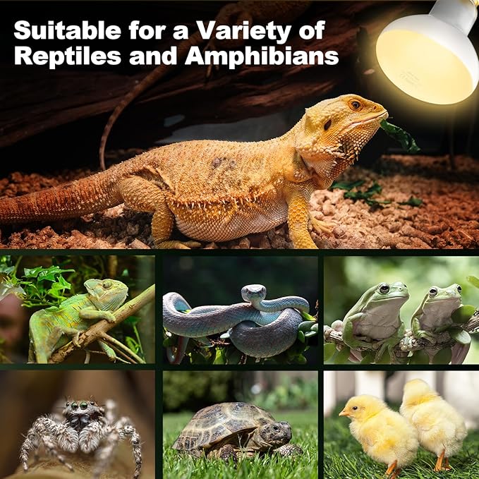 2Pack Reptile Heat Lamp, 100W Reptile Heat Emitter Basking Spot Light, UVA Daylight Heat Lamp Bulbs for Chickens Coop Reptiles Pets Brooder Use
