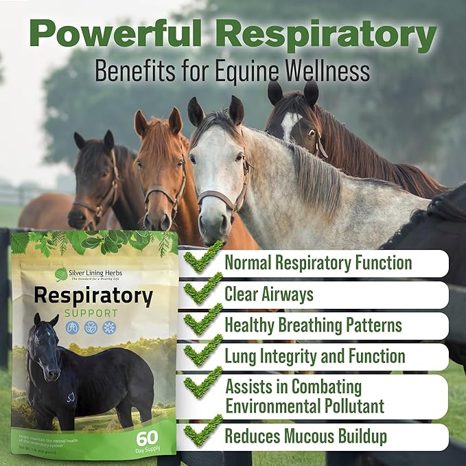 Silver Lining Herbs Respiratory Support Supplement for Horses - Horse Supplements for Lung Cleanse & Respiratory Health - Great for Lung Function, Breathing & Clear Airways - 1 lb 60-Day Supply