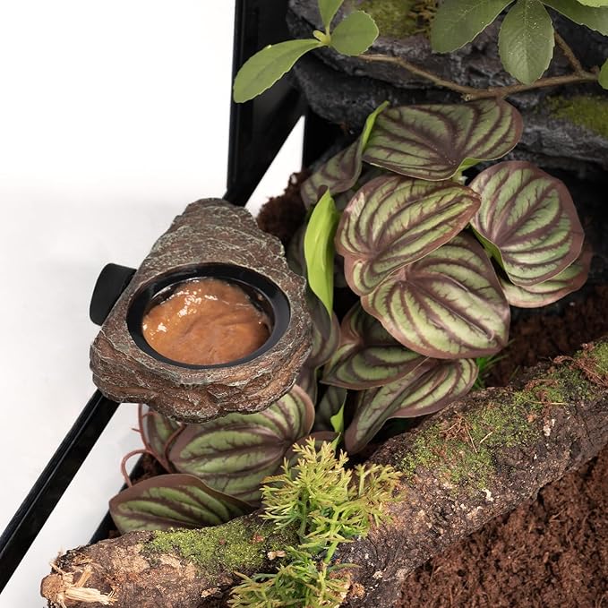 OIIBO Magnetic Gecko Feeding Ledge, Reptile Food Dish with 3PCS Feeding Cups Crested Gecko Feeder Ledge Water Bowl for Lizard Chameleon Bearded Dragon Tank Accessories