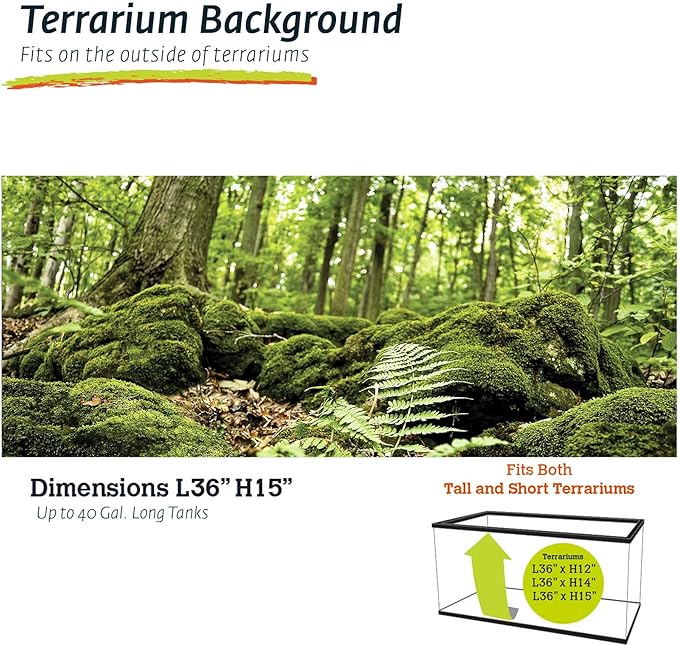 Galápagos (05421) Terrarium Cling | Hi-Resolution Aquarium & Reptile Tank Backdrop | Static Vinyl Clings for Bearded Dragon, Gecko, Turtle, Snake, and Lizard Enclosures, 15" x 36", Forest