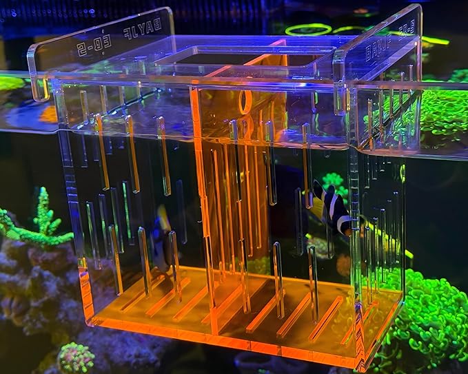 Fish Breeder Isolation Box for Aquarium Tank,Transparent Orange Acrylic Fish Acclimation Box for Clownfish Guppy Betta Coral (S)